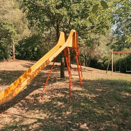 I Cedri Agriturismo Biologico Orsomarso Екстериор снимка