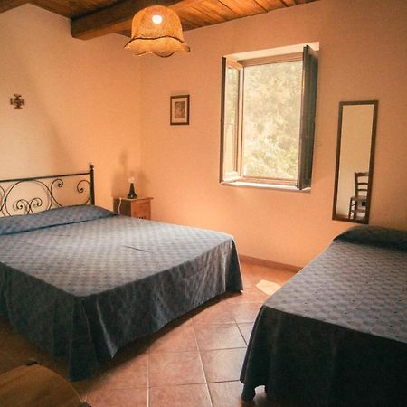 I Cedri Agriturismo Biologico Orsomarso Екстериор снимка