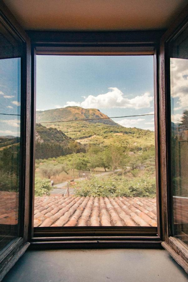 I Cedri Agriturismo Biologico Orsomarso Екстериор снимка
