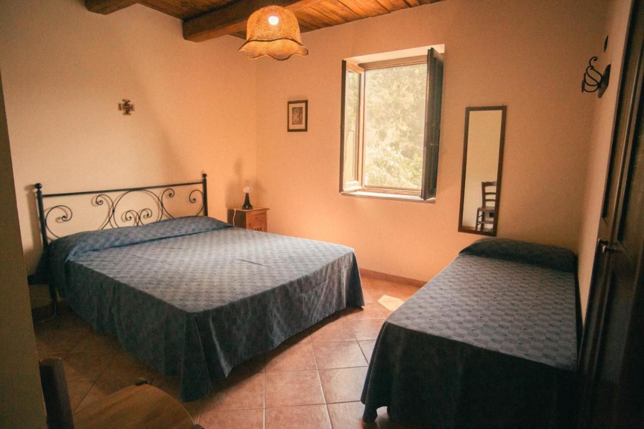 I Cedri Agriturismo Biologico Orsomarso Екстериор снимка